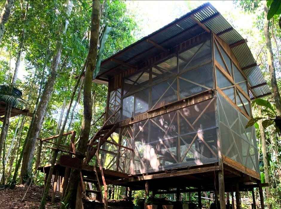 Cabin in the rainforest