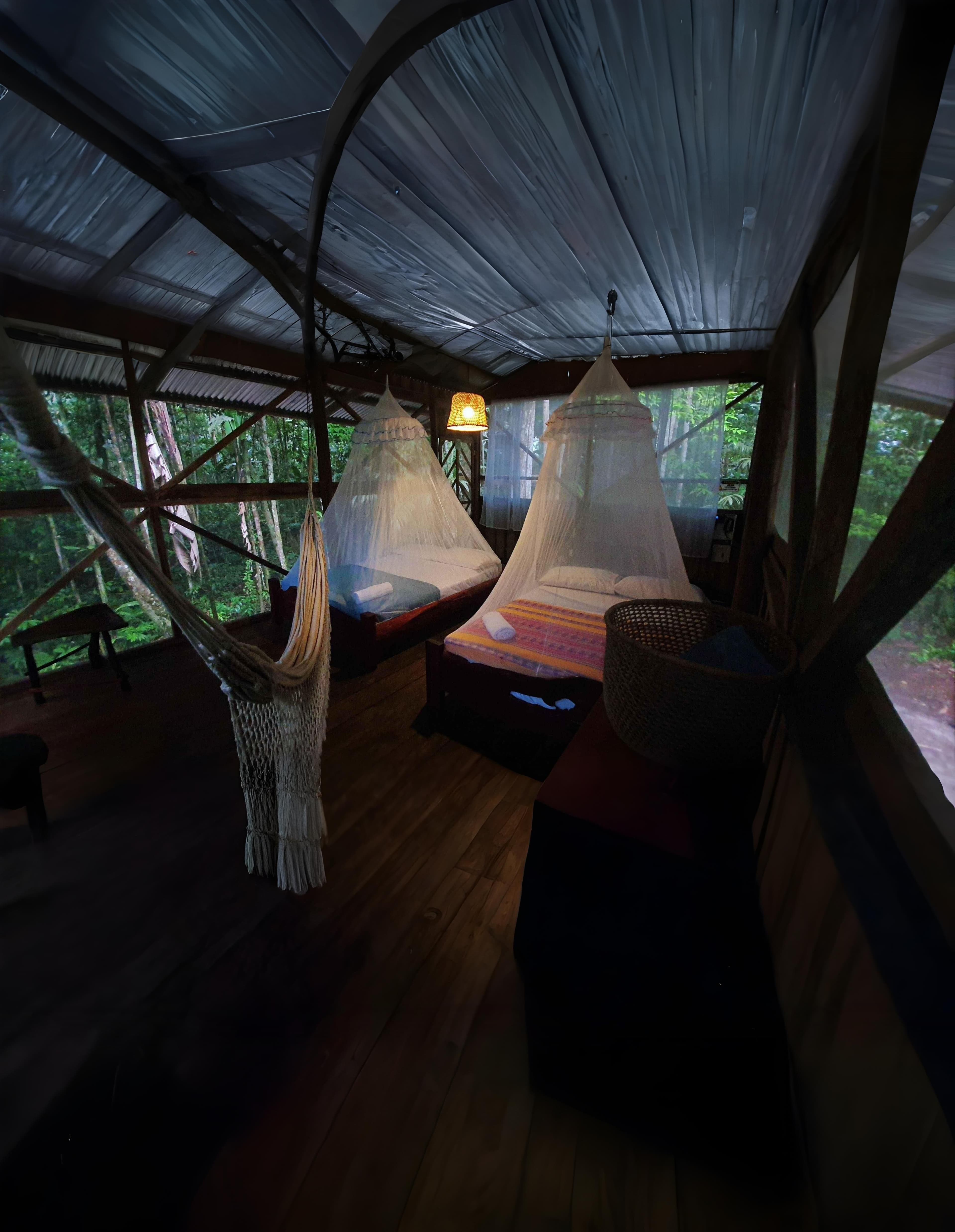 Amazon rainforest background